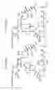 Fig. 53 - Macrocyclic lactone compounds and methods for their use