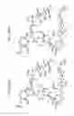 Fig. 75 - Macrocyclic lactone compounds and methods for their use