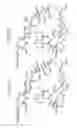 Fig. 80 - Macrocyclic lactone compounds and methods for their use