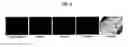 Fig. 04 - METHODS OF USING (+)-1,4-DIHYDRO-7-[(3S,4S)-3-METHOXY-4-(METHYLAMINO)-1-PYRROLIDINYL]-4-OXO-1-(2-THIAZOLYL)-1,8-NAPHTHYRIDINE-3-CARBOXYLIC ACID FOR TREATMENT OF CERTAIN HEMATOLOGIC DISORDERS