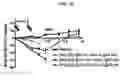 Fig. 13 - METHODS OF USING (+)-1,4-DIHYDRO-7-[(3S,4S)-3-METHOXY-4-(METHYLAMINO)-1-PYRROLIDINYL]-4-OXO-1-(2-THIAZOLYL)-1,8-NAPHTHYRIDINE-3-CARBOXYLIC ACID FOR TREATMENT OF CERTAIN HEMATOLOGIC DISORDERS