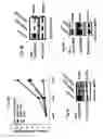 Fig. 07 - Method and pharmaceutical composition for inhibiting PI3K/AKT/mTOR signaling pathway