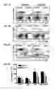 Fig. 04 - Nicotinic attenuation of CNS inflammation and autoimmunity
