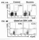 Fig. 05 - Nicotinic attenuation of CNS inflammation and autoimmunity