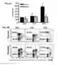 Fig. 08 - Nicotinic attenuation of CNS inflammation and autoimmunity