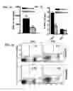 Fig. 10 - Nicotinic attenuation of CNS inflammation and autoimmunity
