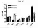 Fig. 12 - Nicotinic attenuation of CNS inflammation and autoimmunity