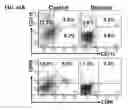Fig. 15 - Nicotinic attenuation of CNS inflammation and autoimmunity