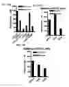 Fig. 16 - Nicotinic attenuation of CNS inflammation and autoimmunity