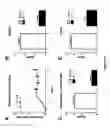 Fig. 13 - Lanthionine synthetase C-like 2-based therapeutics