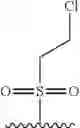 Fig. 28 - Methods for Treating Cancer Using Pyrimidine and Pyridine Compounds with BTK Inhibitory Activity