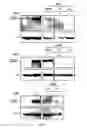 Fig. 05 - Anti-angiogenesis compound, intermediate and use thereof