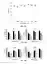 Fig. 29 - COMBINATION THERAPIES FOR HEMATOLOGIC MALIGNANCIES