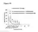 Fig. 63 - COMBINATION THERAPIES FOR HEMATOLOGIC MALIGNANCIES
