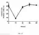 Fig. 14 - Transient Protection of Hematopoietic Stem and Progenitor Cells Against Ionizing Radiation