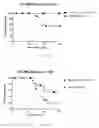 Fig. 29 - Transient Protection of Hematopoietic Stem and Progenitor Cells Against Ionizing Radiation