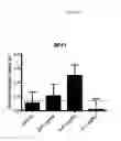Fig. 02 - TREATMENT OF COGNITIVE DISORDERS