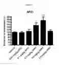 Fig. 04 - TREATMENT OF COGNITIVE DISORDERS