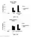 Fig. 09 - HETEROCYCLIC MODULATORS OF LIPID SYNTHESIS