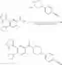 Fig. 901 - HETEROCYCLIC MODULATORS OF LIPID SYNTHESIS