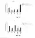 Fig. 06 - Inhibiting activity of senescent cells using a glucocorticoid