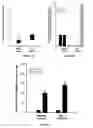 Fig. 20 - Agents, Uses and Methods