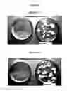 Fig. 02 - METHODS AND COMPOSITIONS FOR DERMATOLOGICAL USE COMPRISING CLOBETASOL AND HALOBETASOL AND BIOPOLYMERS