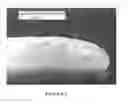 Fig. 07 - XYLITOL CONTAINING COMESTIBLE PRODUCT
