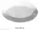 Fig. 09 - XYLITOL CONTAINING COMESTIBLE PRODUCT
