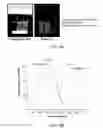 Fig. 10 - Nanoparticle formulations for delivering multiple therapeutic agents