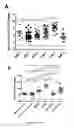 Fig. 02 - Composition comprising a combination of DNA methylation inhibitor and a vitamin D receptor agonist for the treatment of drug resistant cancer or for the prevention of tumor relapse