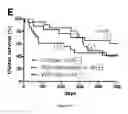 Fig. 04 - Composition comprising a combination of DNA methylation inhibitor and a vitamin D receptor agonist for the treatment of drug resistant cancer or for the prevention of tumor relapse