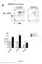 Fig. 06 - Composition comprising a combination of DNA methylation inhibitor and a vitamin D receptor agonist for the treatment of drug resistant cancer or for the prevention of tumor relapse