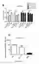 Fig. 07 - Composition comprising a combination of DNA methylation inhibitor and a vitamin D receptor agonist for the treatment of drug resistant cancer or for the prevention of tumor relapse