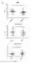 Fig. 09 - Composition comprising a combination of DNA methylation inhibitor and a vitamin D receptor agonist for the treatment of drug resistant cancer or for the prevention of tumor relapse