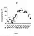 Fig. 11 - Composition comprising a combination of DNA methylation inhibitor and a vitamin D receptor agonist for the treatment of drug resistant cancer or for the prevention of tumor relapse
