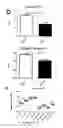 Fig. 12 - Composition comprising a combination of DNA methylation inhibitor and a vitamin D receptor agonist for the treatment of drug resistant cancer or for the prevention of tumor relapse