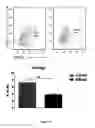 Fig. 15 - Composition comprising a combination of DNA methylation inhibitor and a vitamin D receptor agonist for the treatment of drug resistant cancer or for the prevention of tumor relapse