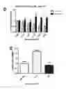 Fig. 17 - Composition comprising a combination of DNA methylation inhibitor and a vitamin D receptor agonist for the treatment of drug resistant cancer or for the prevention of tumor relapse