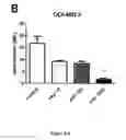 Fig. 24 - Composition comprising a combination of DNA methylation inhibitor and a vitamin D receptor agonist for the treatment of drug resistant cancer or for the prevention of tumor relapse