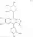 Fig. 40 - ARYLNAPHTHALENE LACTONE DERIVATIVES AND METHODS OF MAKING AND USING THEREOF