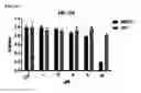 Fig. 03 - Macrocyclic lactones and uses thereof as modulators of purinergic receptors