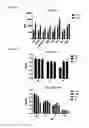 Fig. 08 - Macrocyclic lactones and uses thereof as modulators of purinergic receptors