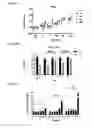 Fig. 14 - Macrocyclic lactones and uses thereof as modulators of purinergic receptors