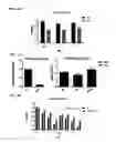 Fig. 15 - Macrocyclic lactones and uses thereof as modulators of purinergic receptors