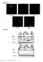 Fig. 18 - Macrocyclic lactones and uses thereof as modulators of purinergic receptors