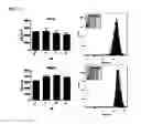 Fig. 24 - Macrocyclic lactones and uses thereof as modulators of purinergic receptors