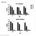 Fig. 28 - Macrocyclic lactones and uses thereof as modulators of purinergic receptors