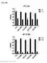 Fig. 31 - Macrocyclic lactones and uses thereof as modulators of purinergic receptors