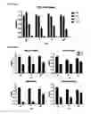 Fig. 32 - Macrocyclic lactones and uses thereof as modulators of purinergic receptors